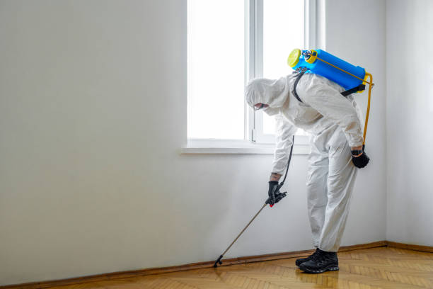Best Exterminator Services  in Helena, MT
