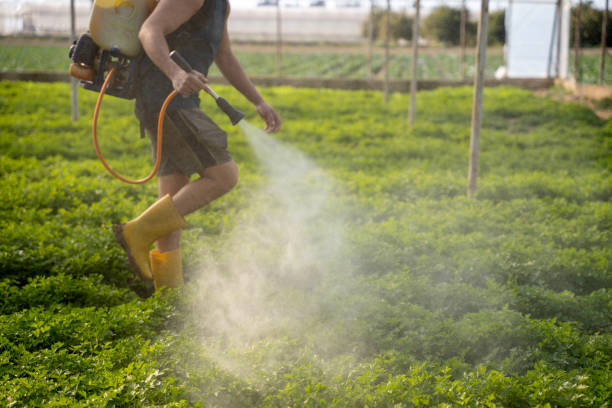 Best Pest Prevention Services  in Helena, MT