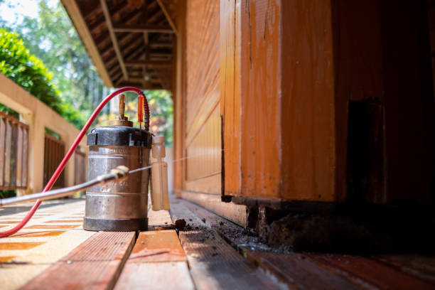 Best Cockroach Control Services  in Helena, MT