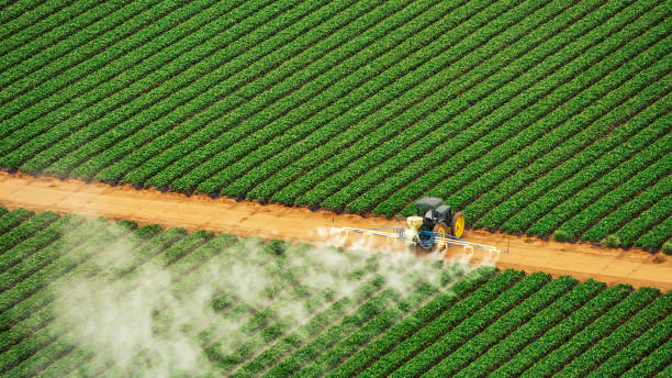 Best Termite Control Services  in Helena, MT